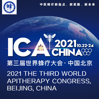 Advertisement Banner